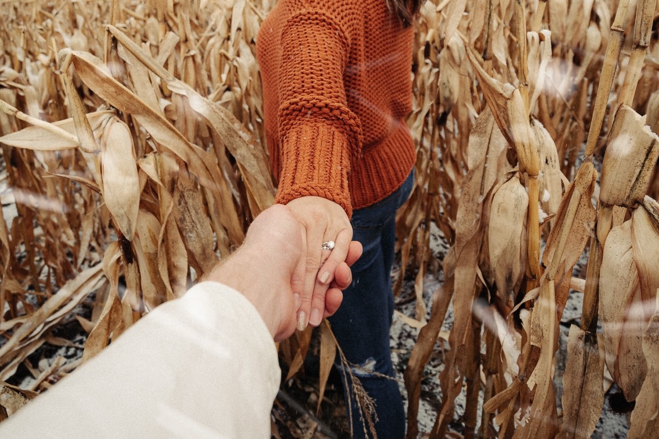 A young woman playfully leading her partner into a corn maze, an engagement ring on her finger.