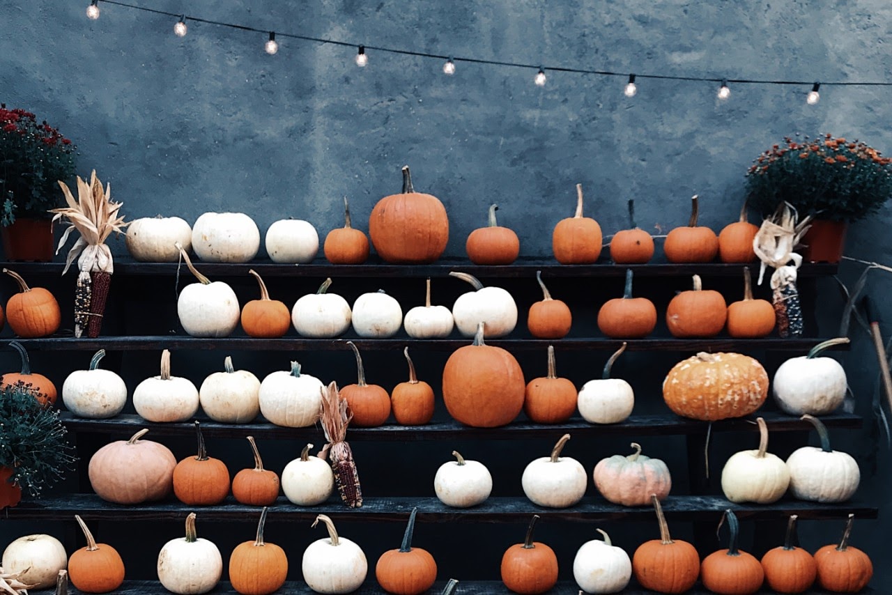 Let’s Carve Pumpkins - Exploring The Pumpkin Patch