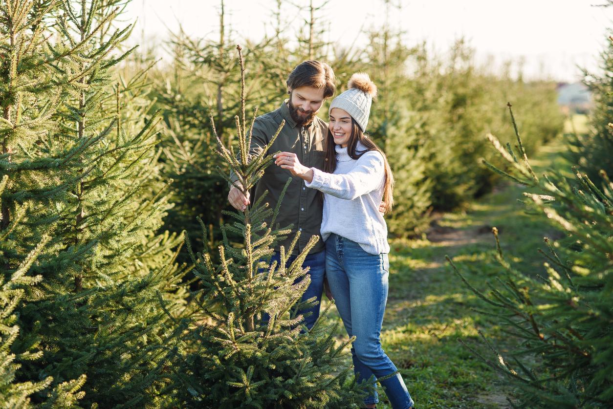Proposal In The Christmas Tree Farm