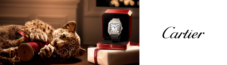 Cartier Cartier
