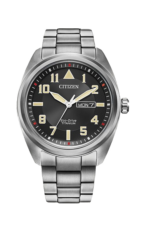 Citizen endeavour online watch