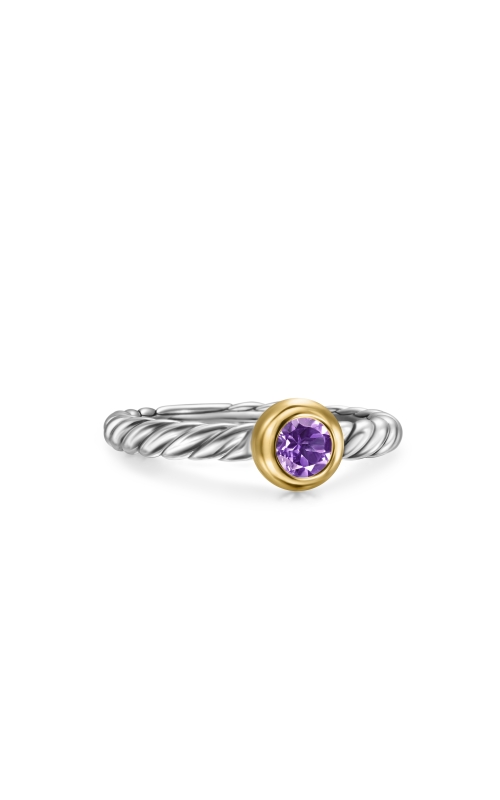 Petite Cable Ring in Sterling Silver with 14K Yellow Gold and Amethyst, 2.8mm