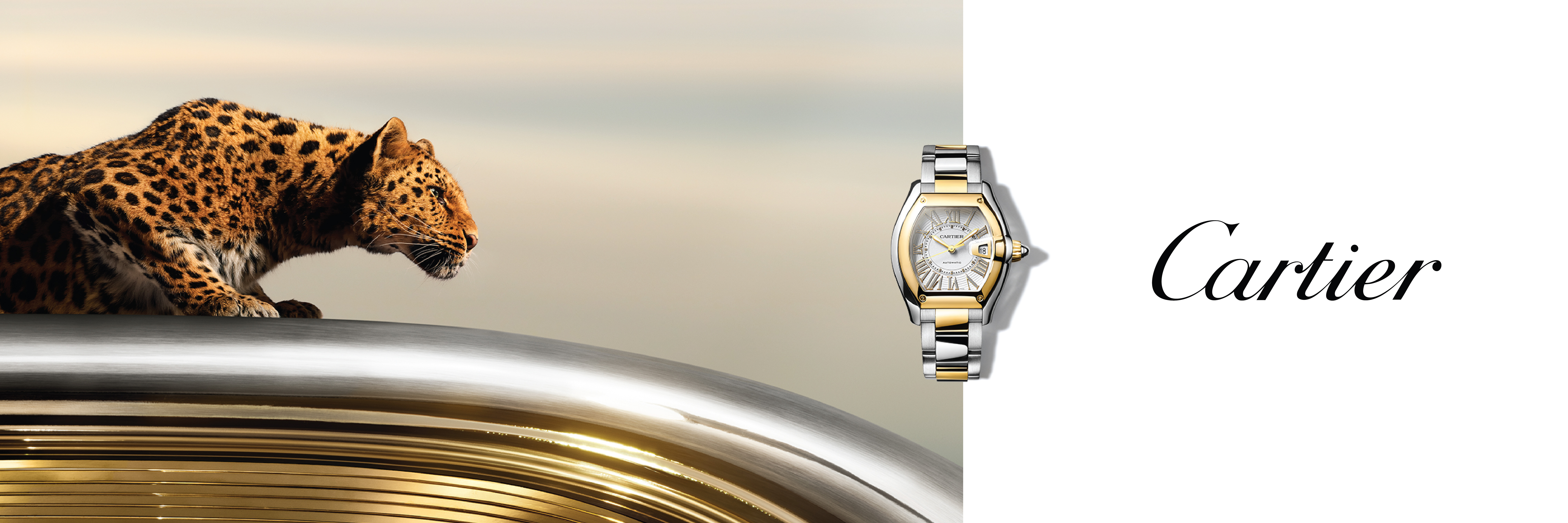 Cartier Watches Cartier Watches