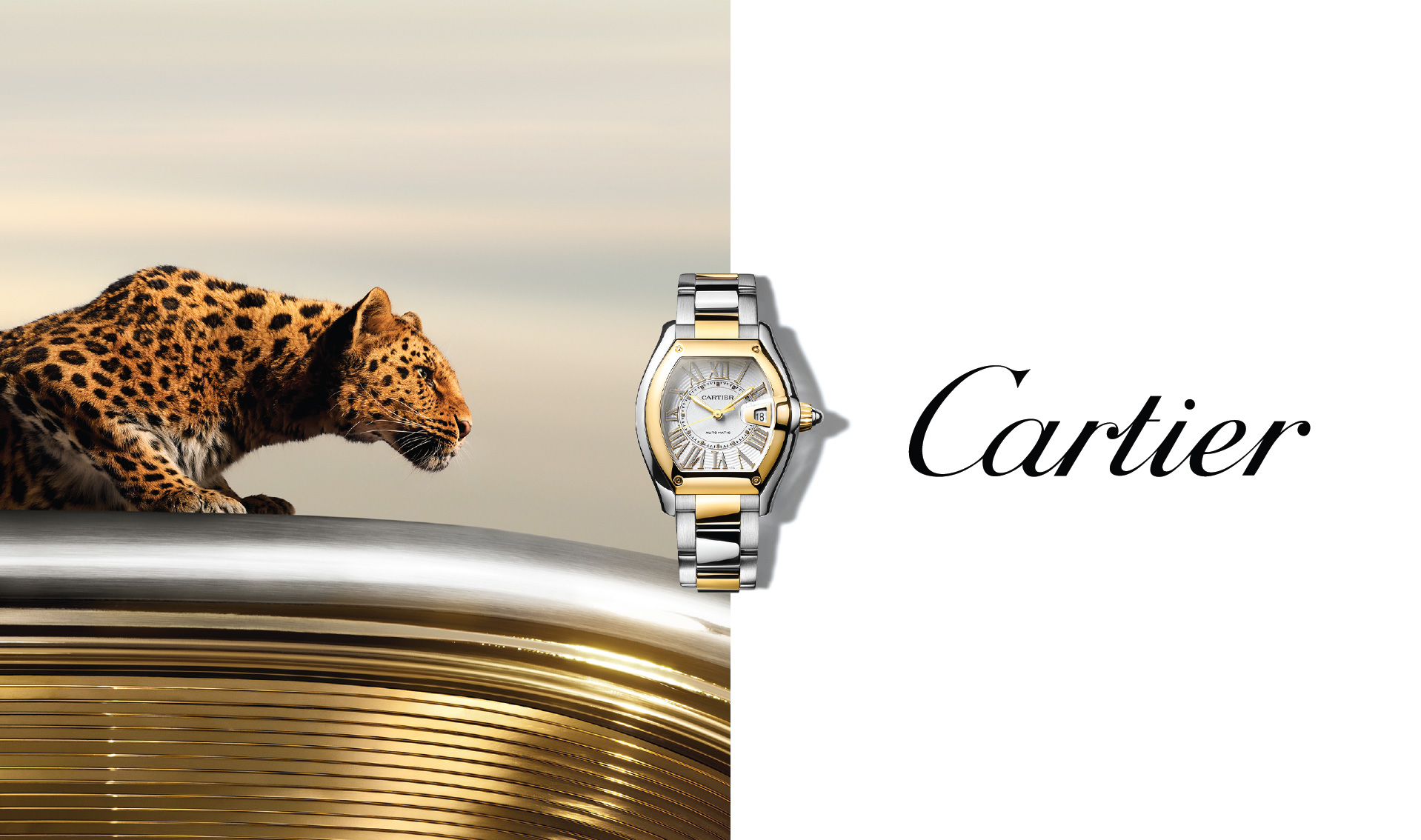Cartier Cartier