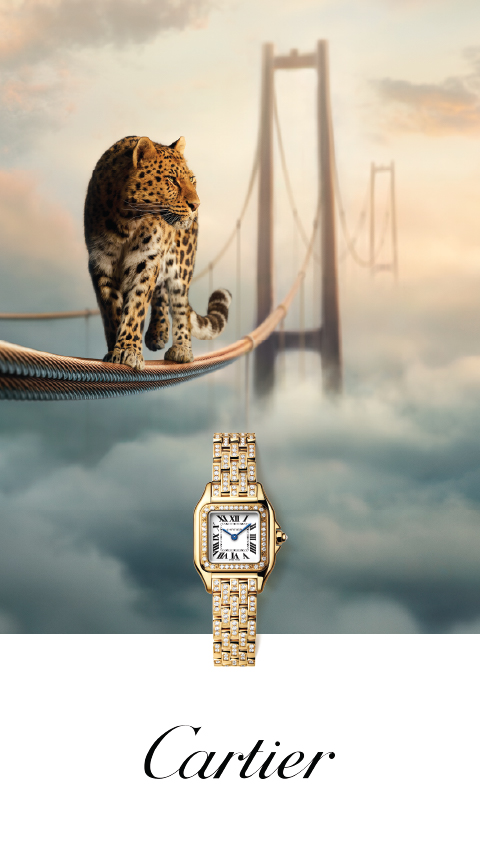 Cartier Watches Cartier Watches