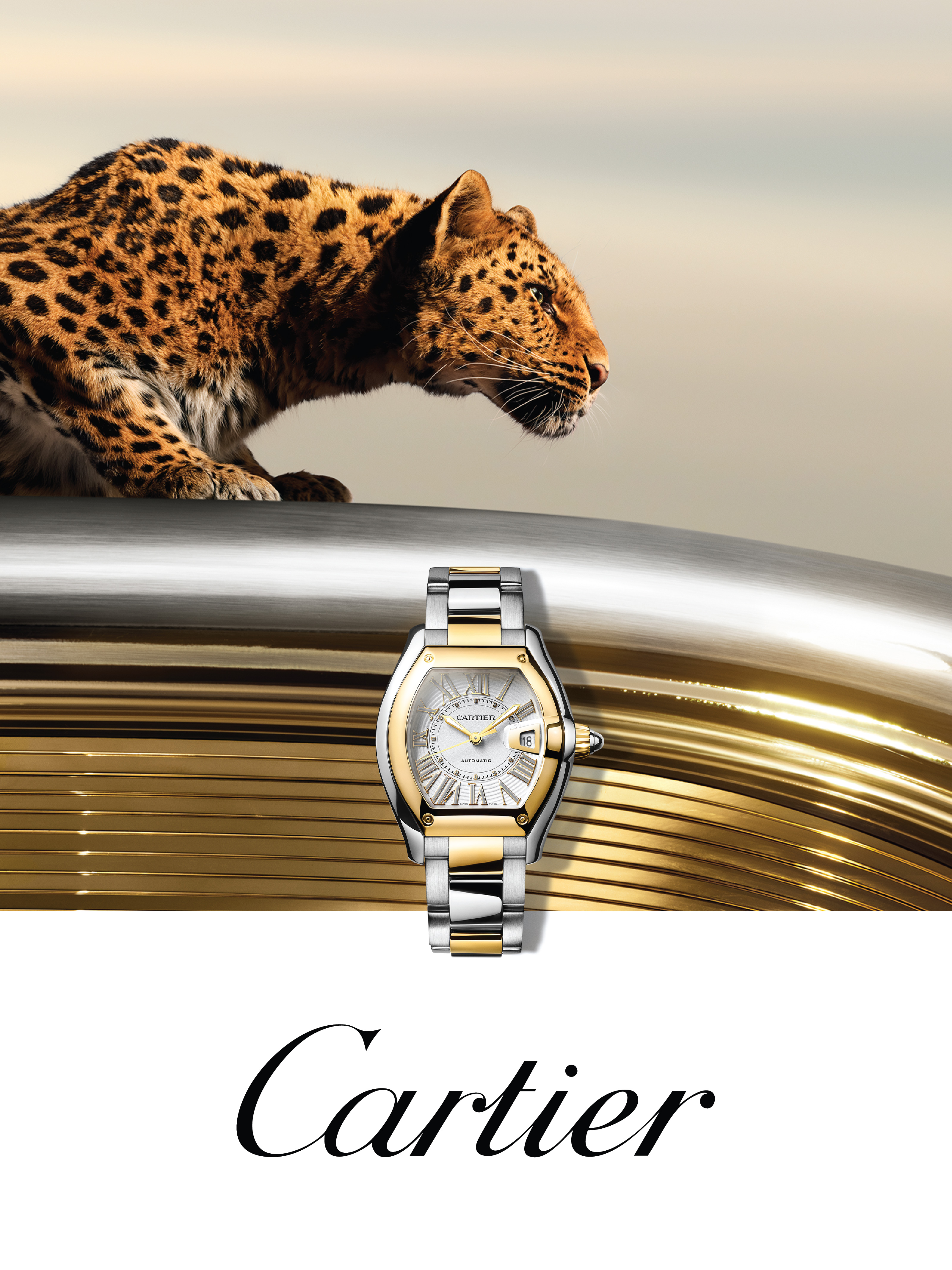 Cartier Watches Cartier Watches