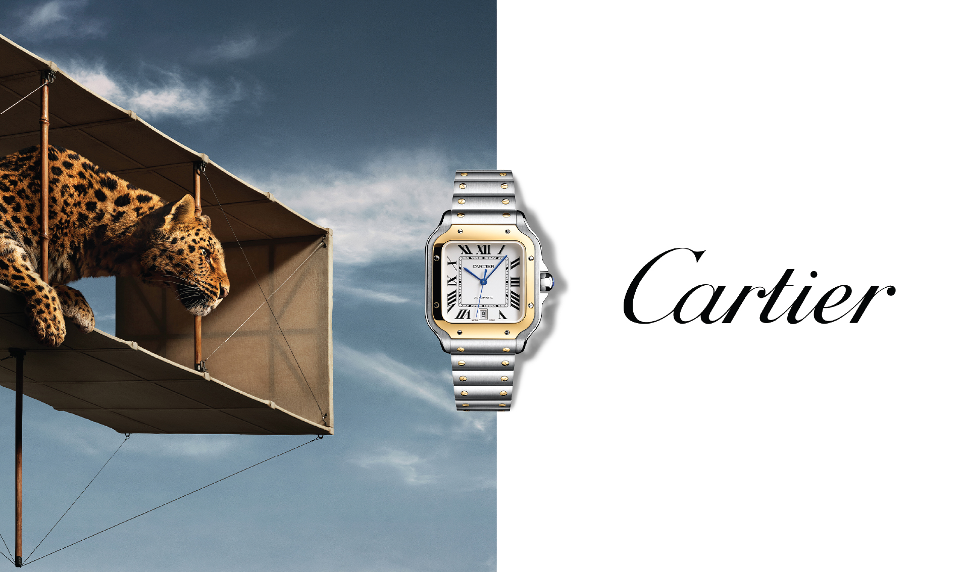Cartier Cartier