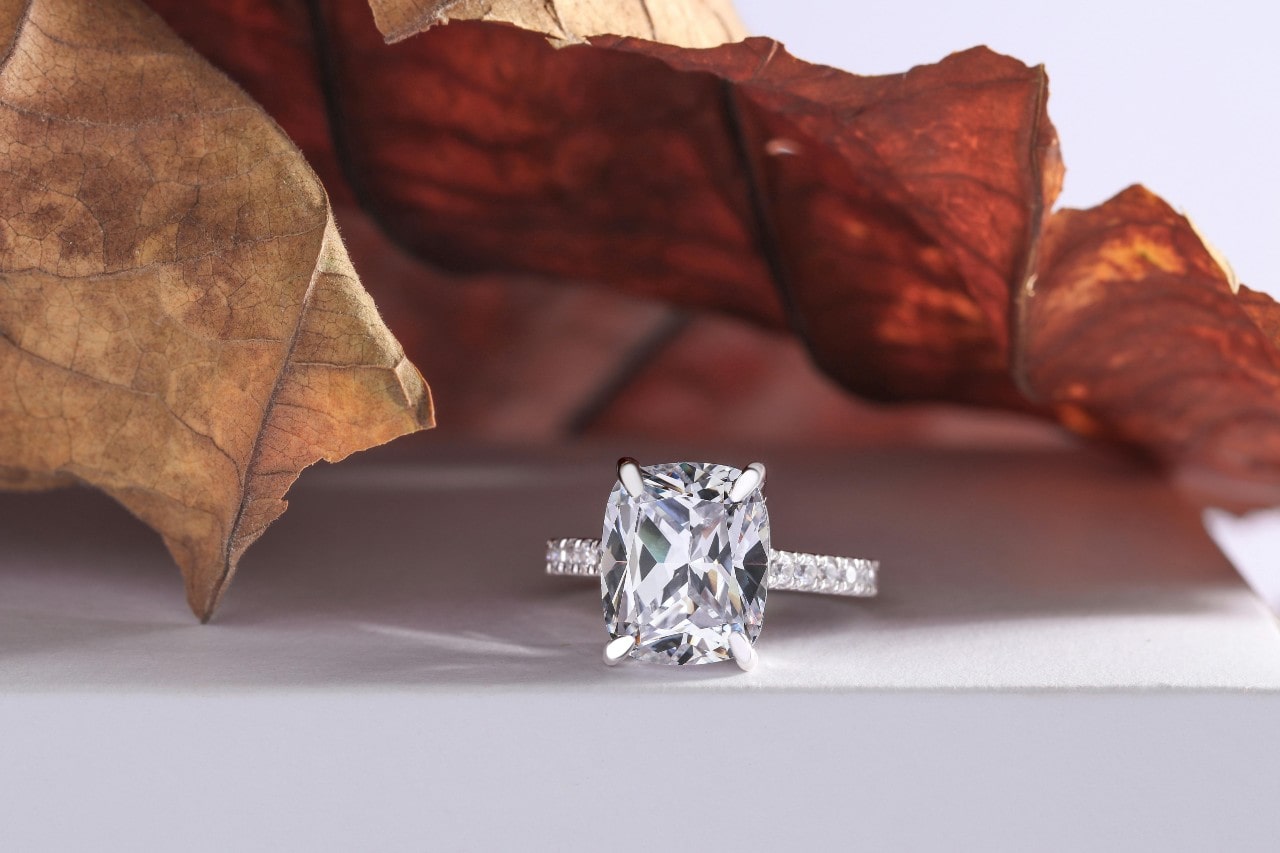 A radiant cut diamond platinum ring and dead leaves.